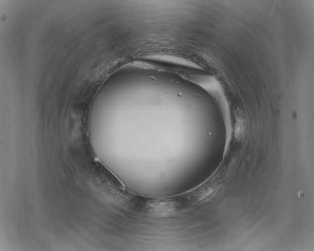 X0000068820221200605051219