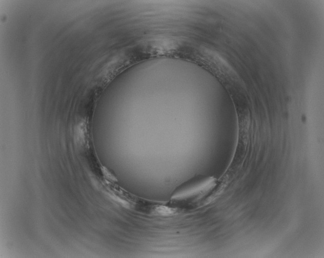 X0000068820222200605051219