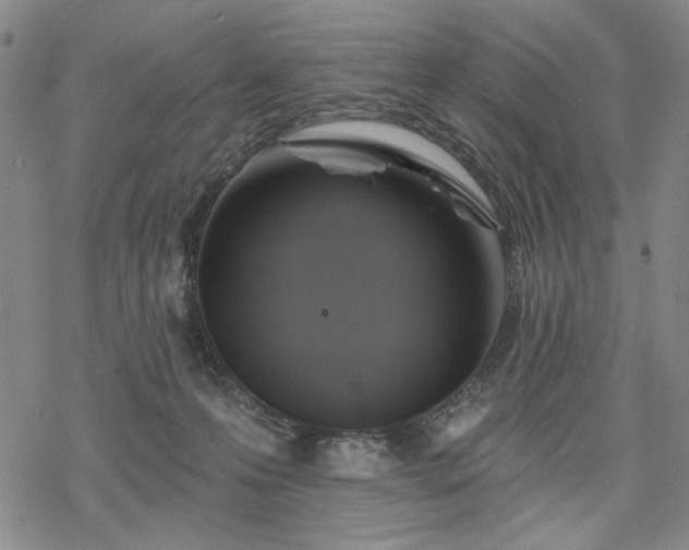 X0000068820223200605051219