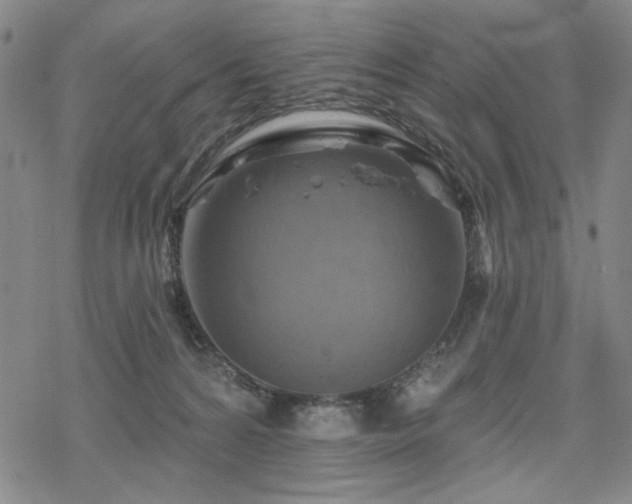 X0000068820224200605051219