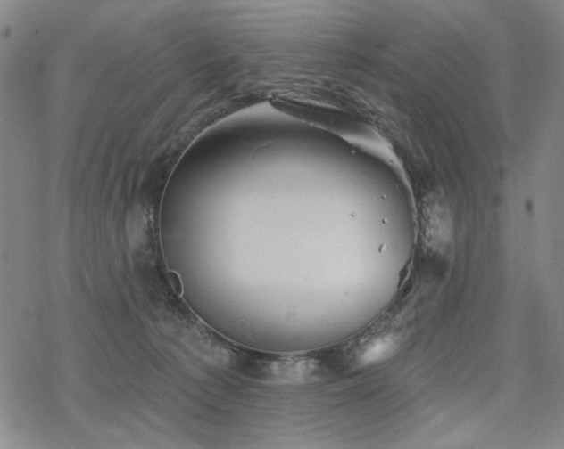 X0000068820225200605051219