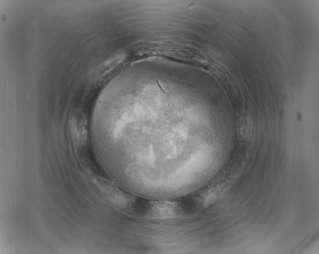 X0000068820226200605051219