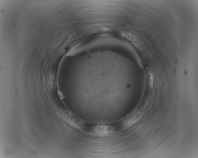 X0000068820227200605051219