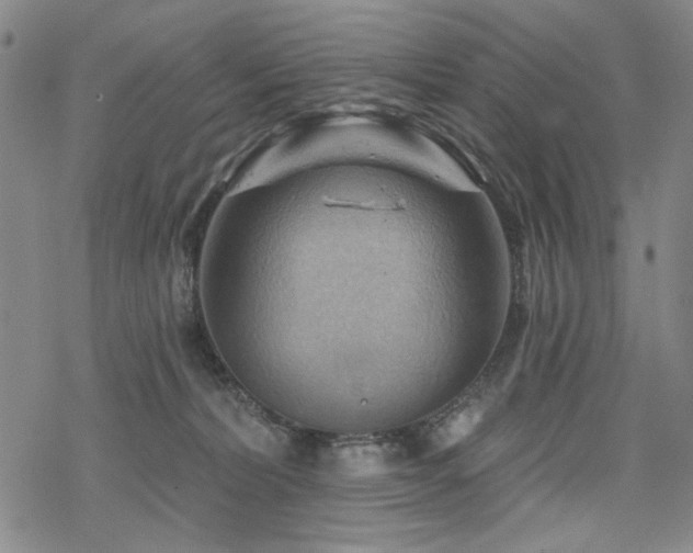 X0000068820228200605051219