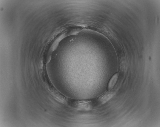 X0000068820229200605051219