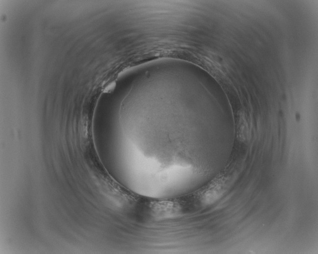 X0000068820230200605051219