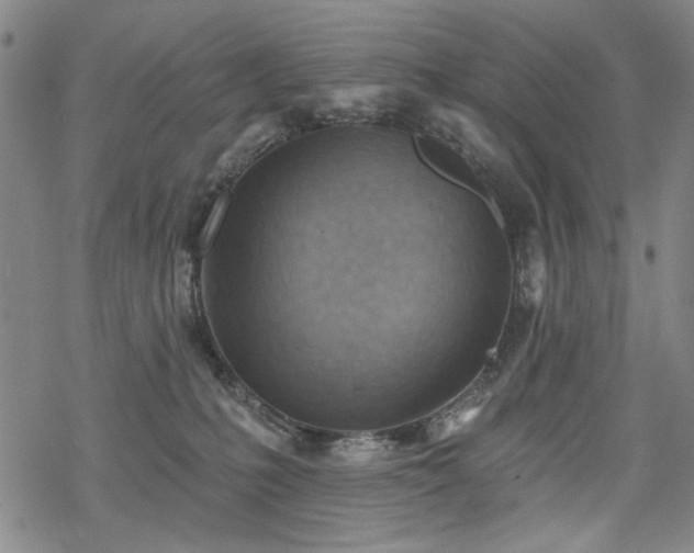 X0000068820231200605051219