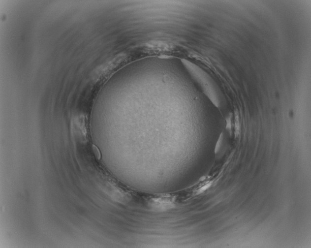 X0000068820232200605051219