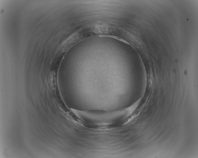 X0000068820233200605051219