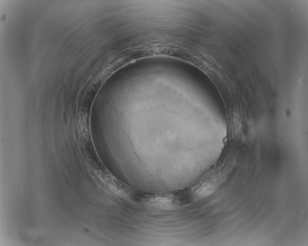 X0000068820236200605051219