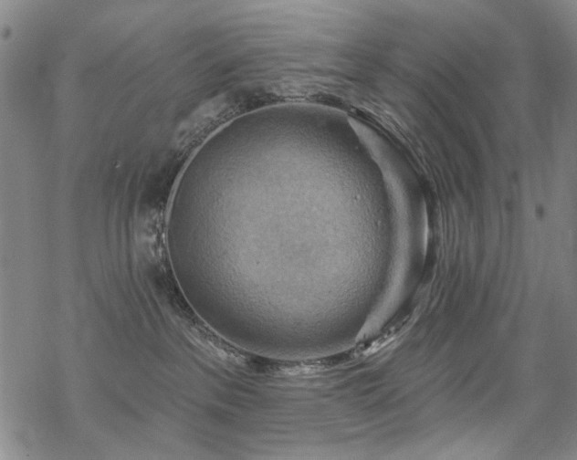 X0000068820237200605051219