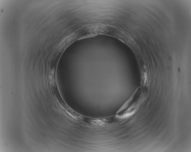 X0000068820239200605051218