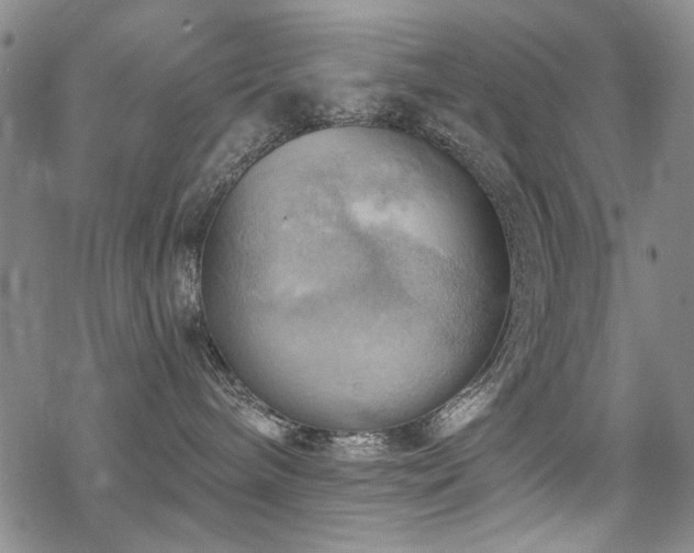 X0000068820240200605051218