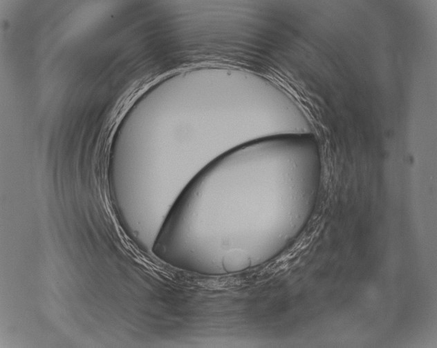 X0000068820241200605051218