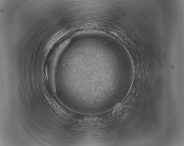 X0000068820242200605051218