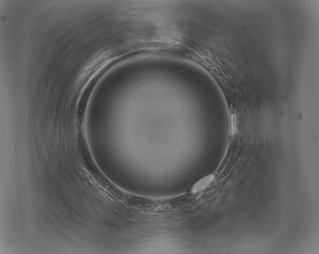 X0000068820243200605051218