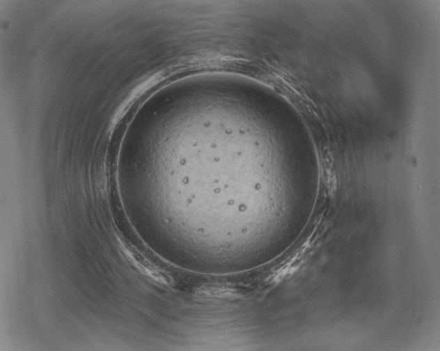 X0000068820244200605051218