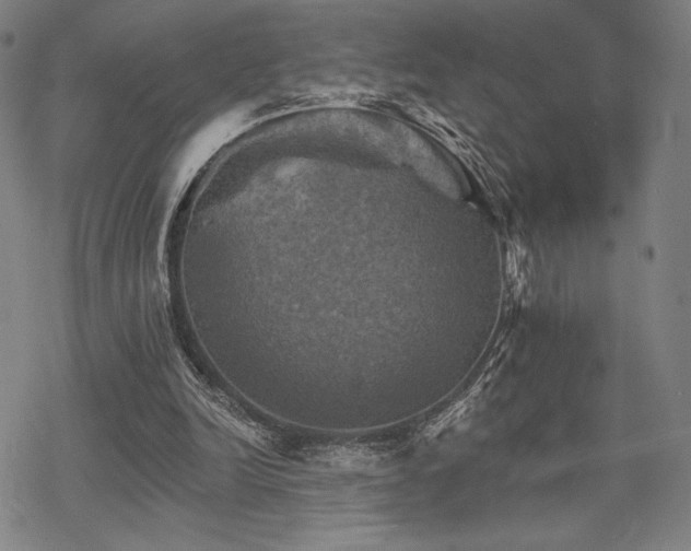 X0000068820246200605051218