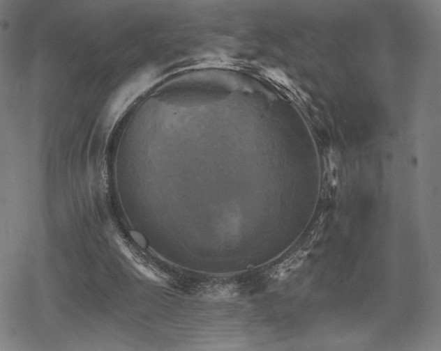 X0000068820247200605051218