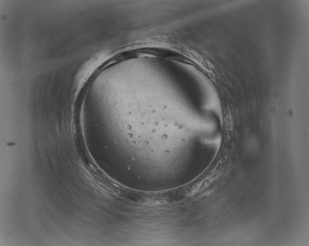 X0000068820248200605051218