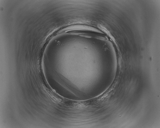 X0000068820249200605051218