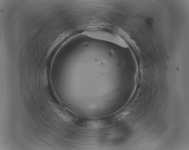 X0000068820250200605051218