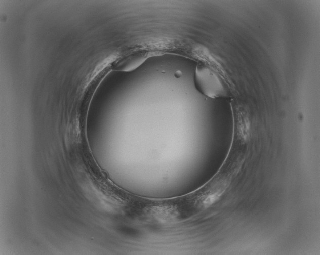 X0000068820251200605051218