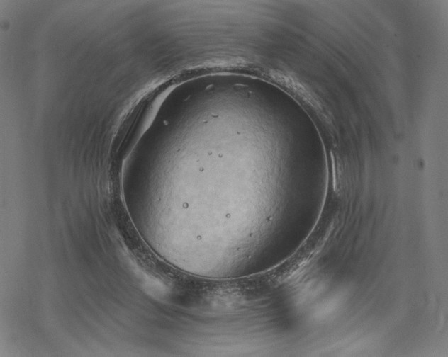 X0000068820252200605051218