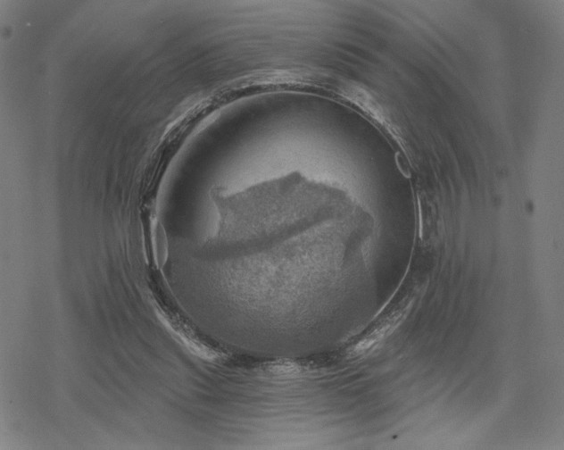 X0000068820253200605051218