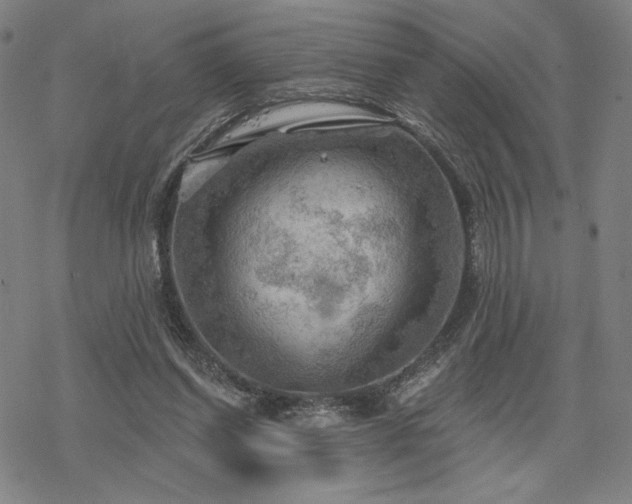 X0000068820254200605051218