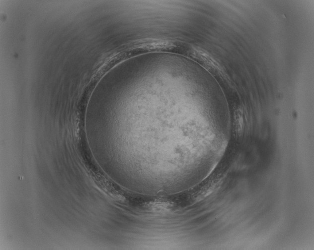 X0000068820255200605051218