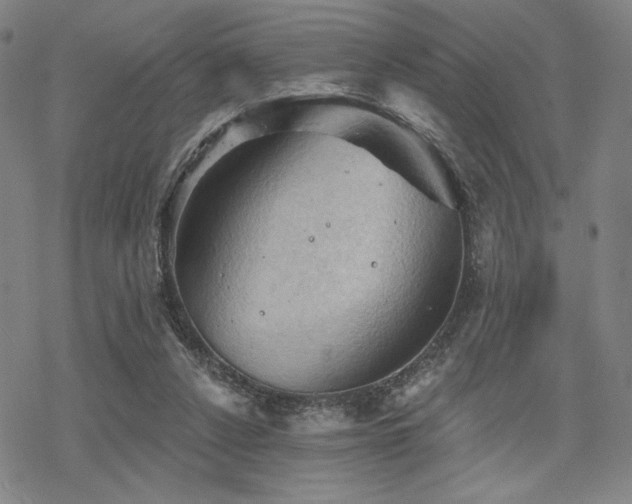 X0000068820256200605051218