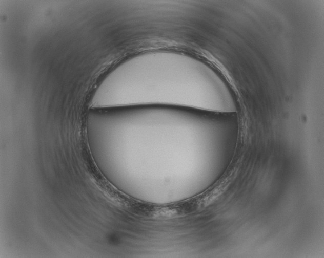 X0000068820257200605051218