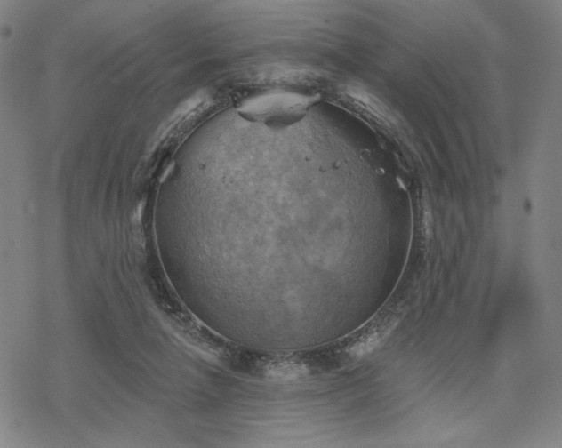 X0000068820258200605051218