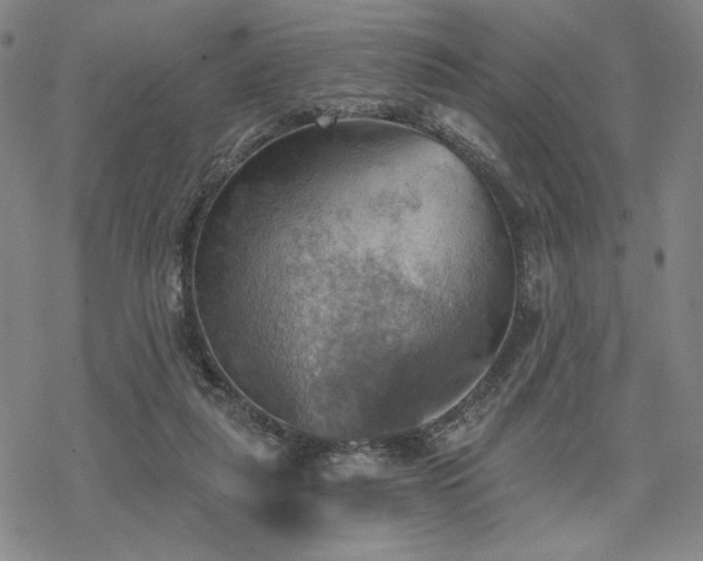 X0000068820259200605051218