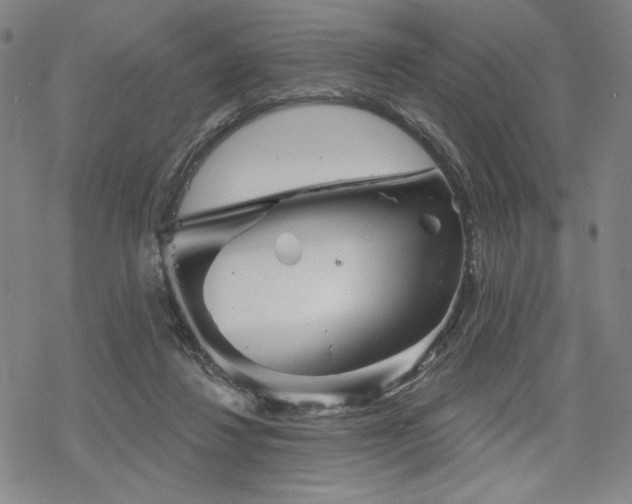 X0000068820260200605051218