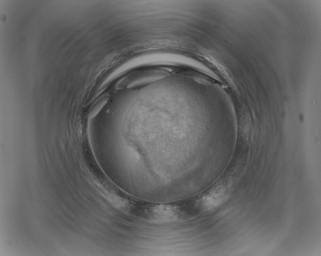 X0000068820261200605051218