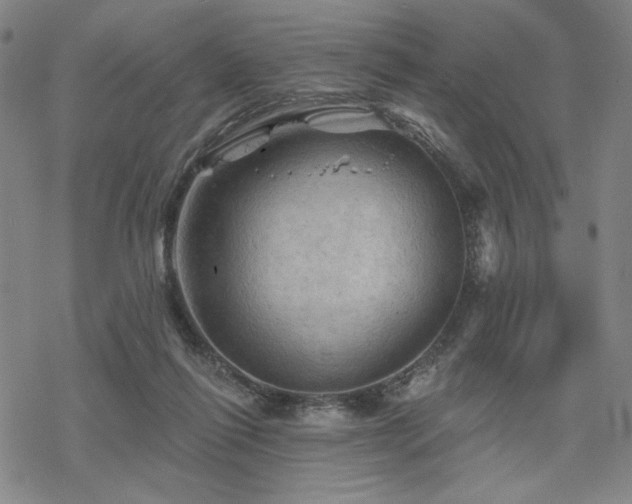 X0000068820262200605051218