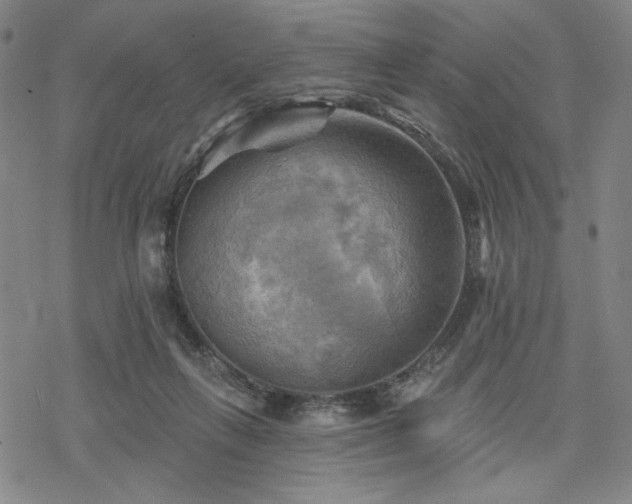 X0000068820263200605051218