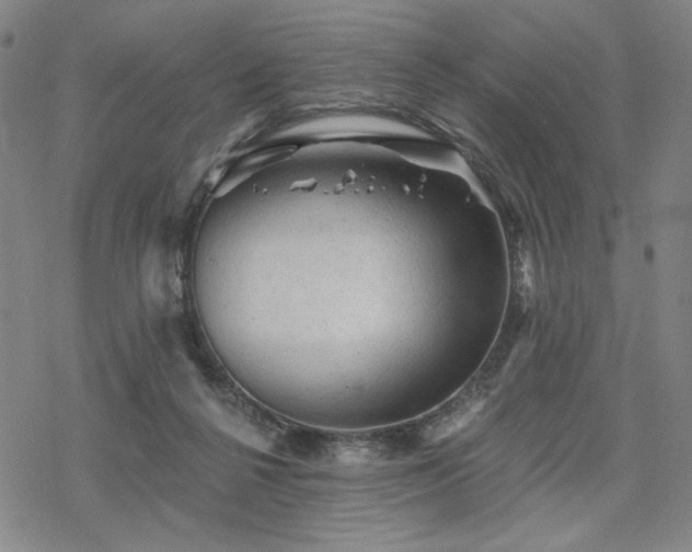 X0000068820264200605051218