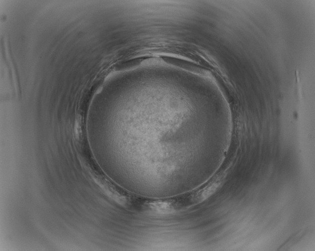 X0000068820265200605051218