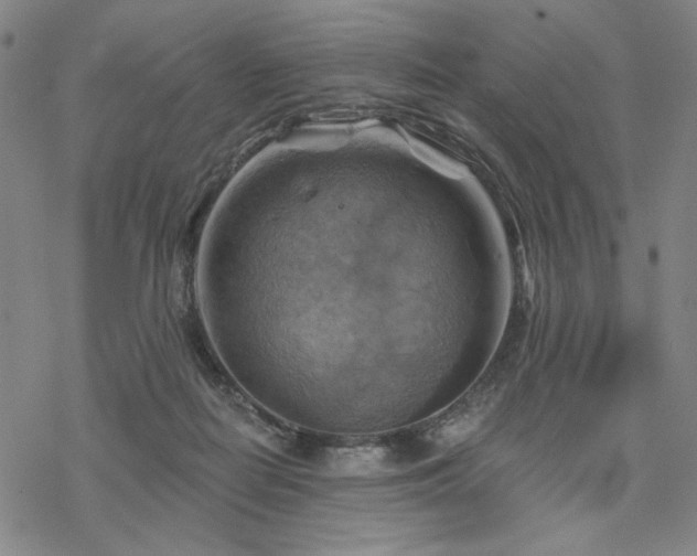 X0000068820266200605051218