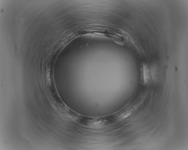 X0000068820267200605051218