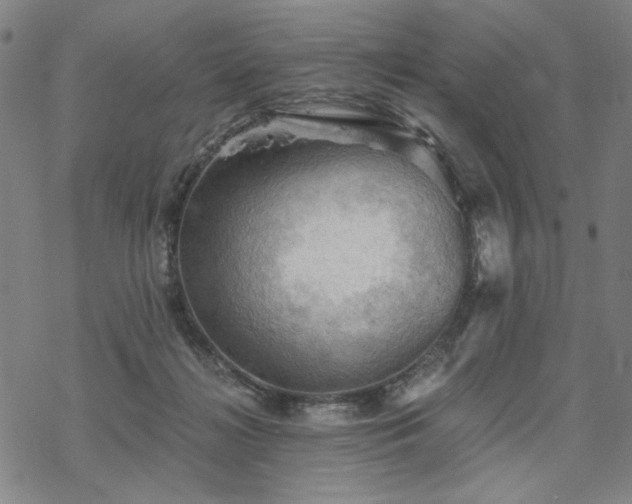 X0000068820268200605051218