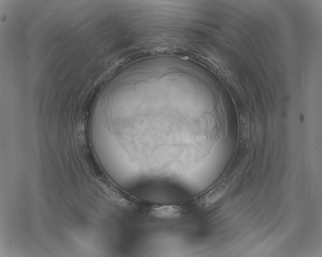 X0000068820269200605051218