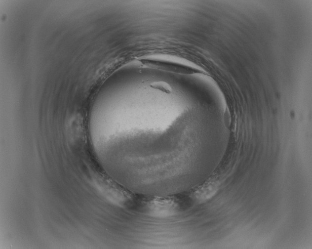 X0000068820270200605051218