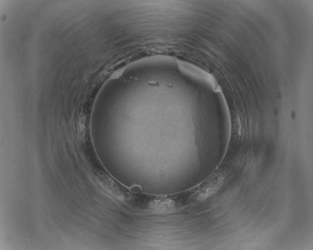 X0000068820271200605051218