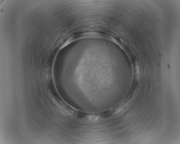 X0000068820272200605051218