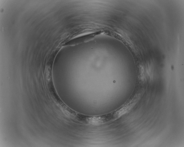 X0000068820273200605051218