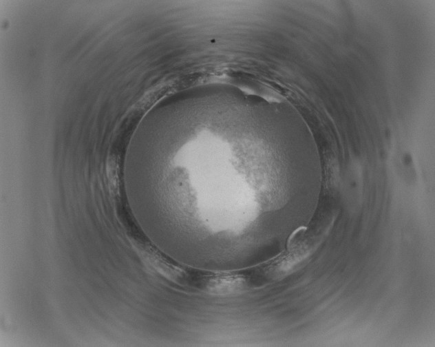 X0000068820274200605051218